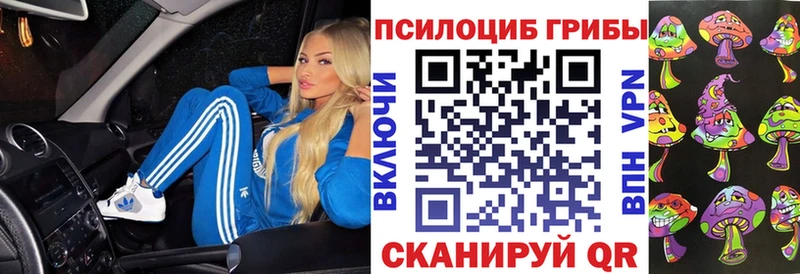 Галлюциногенные грибы мицелий  Купить закладки  Константиновск 